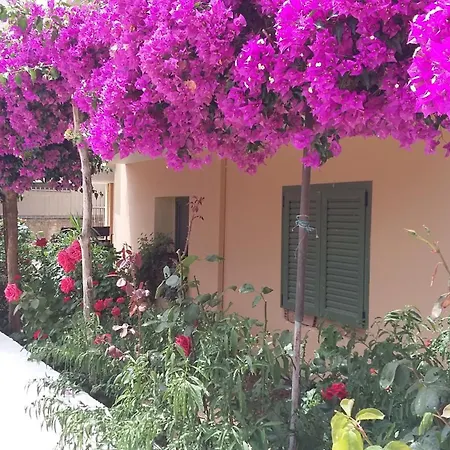 Marinos - 1st Floor Apartment Poros (Kefalonia)